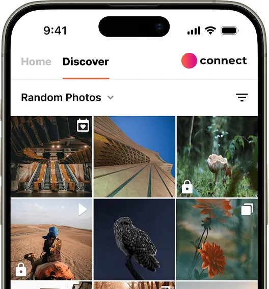 A smartphone screen displays a photo discovery app with a grid of random images, including landscapes and wildlife.